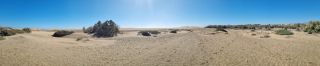 2023-GC--Mapalomas dunas-S123-171.jpg